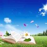 lire dehors 1